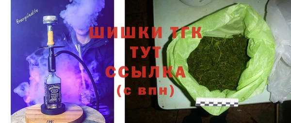 первитин Богданович