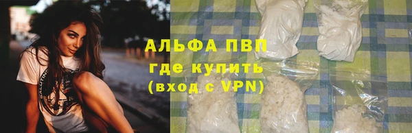 первитин Богданович