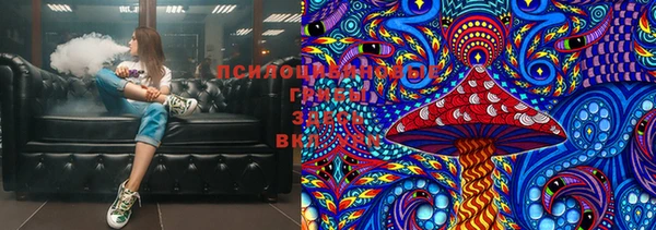 ПСИЛОЦИБИНОВЫЕ ГРИБЫ Богородицк