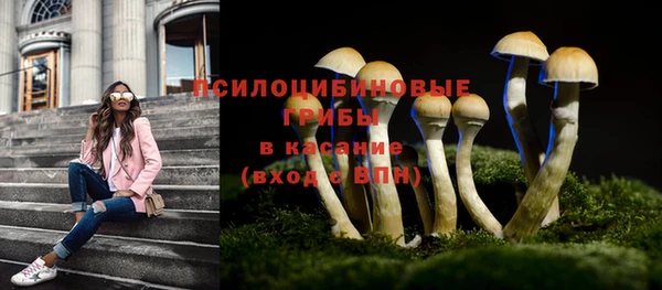 эйфоретик Богородск