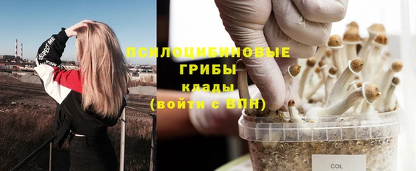 эйфоретик Богородск
